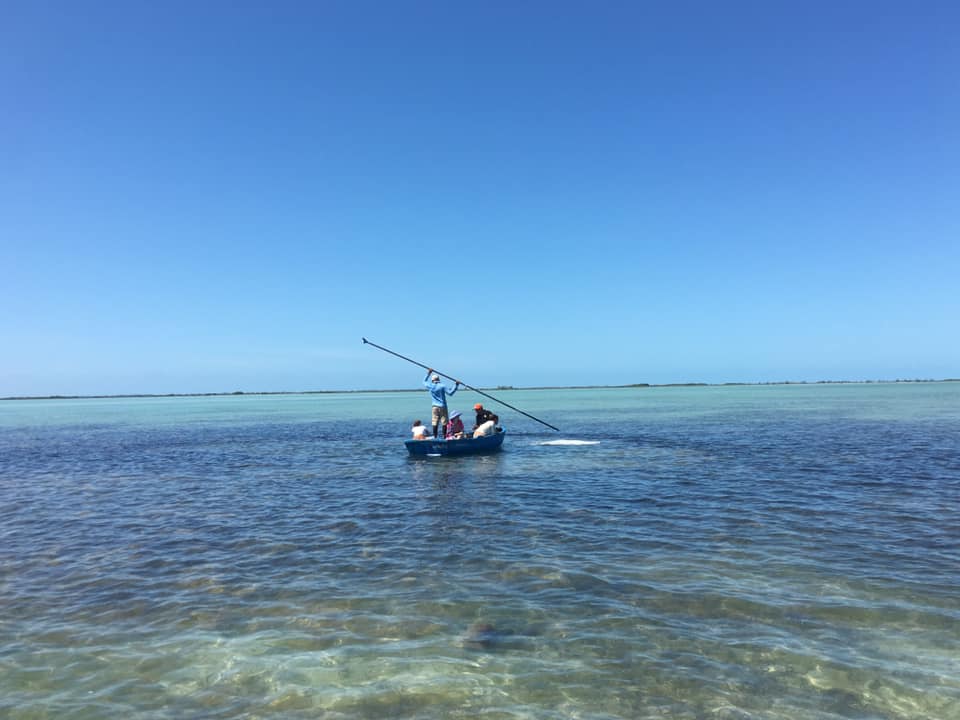 60067474_10157118842879344_6724933300994965504_n