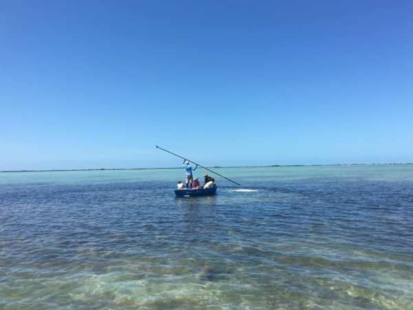 60067474_10157118842879344_6724933300994965504_n