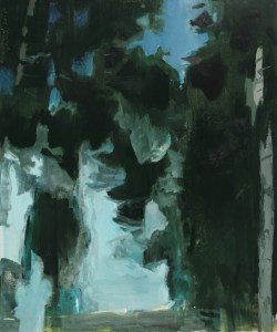 Pinewood Nocturne no.1 60x50