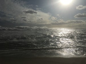 IMG_4624