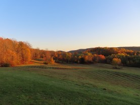 IMG_0600